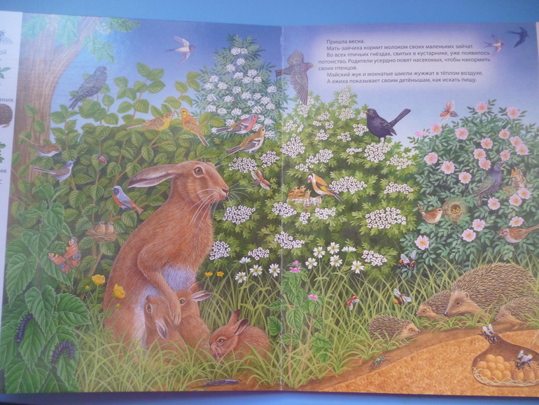 Первые книги малыша. Учим новые слова (бюджетные гляделки, много фото)