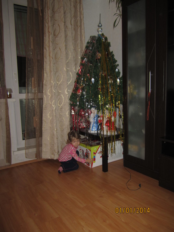 Фото. Новогодний подарок