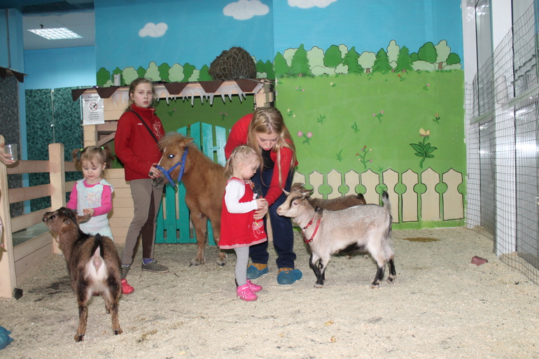 Сходили в контактный зоопарк