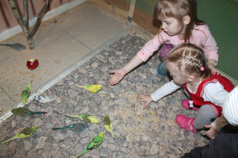 Сходили в контактный зоопарк