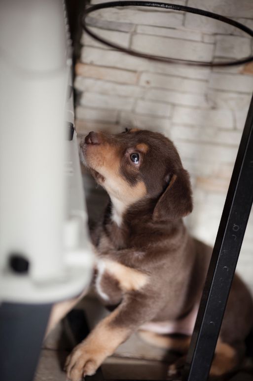 Супер-ребёнок