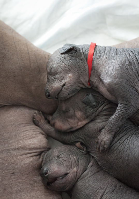 Вот така любоФф....