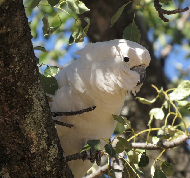 Подойдет для второго эпизода?