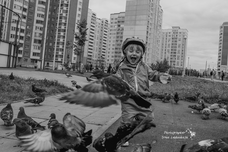 Конец лета, велосипед и голуби ...