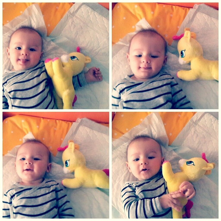 6 мес.