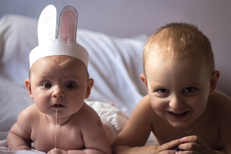 Фотохроника. Горшок. Заячьи уши.