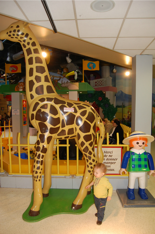 Один день в мире игрушек. Досуг во Франции.