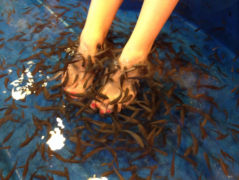 Рыбный СПА :))