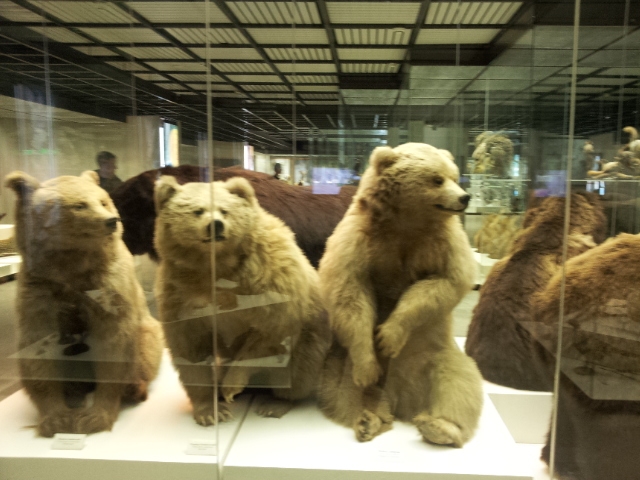 Музей Дарвина - мы там были - смотрите фото)))