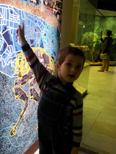 Музей Дарвина - мы там были - смотрите фото)))