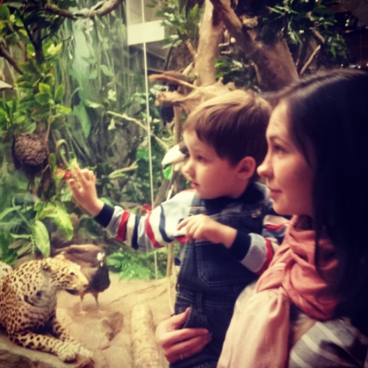 Музей Дарвина - мы там были - смотрите фото)))