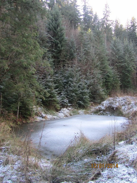 Рождественские каникулы. Карпаты. Часть 2