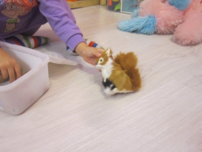 ТН Встречаем зиму. День 3. Зимний лес