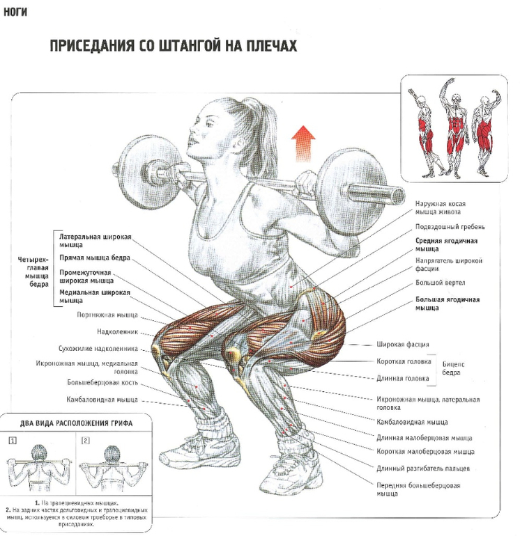 Спорт в домашних условиях