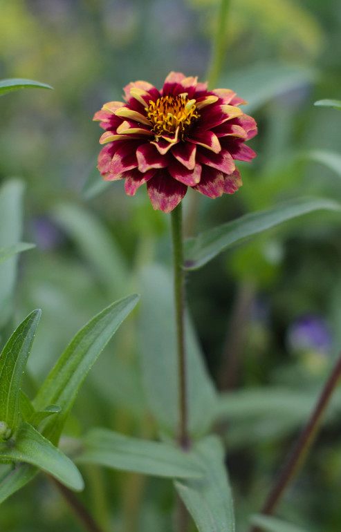 вот оно какое наше Лето:))