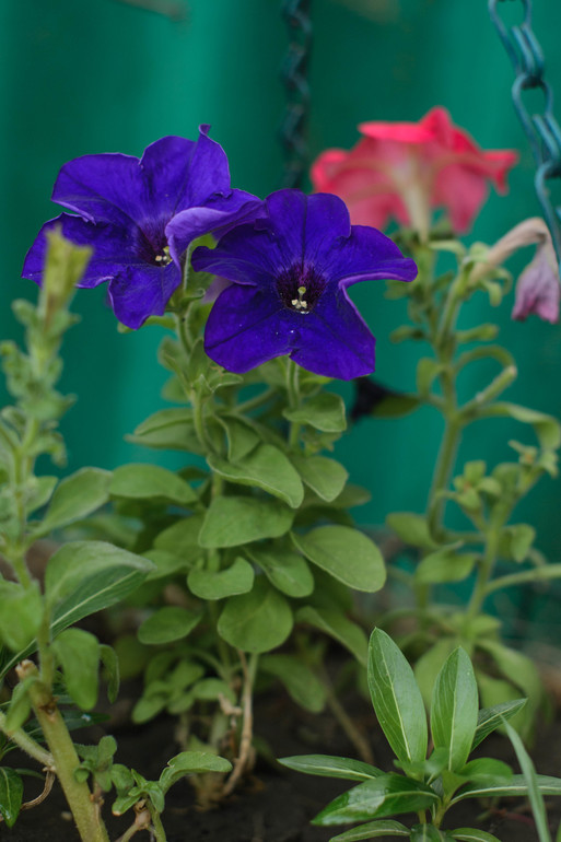 вот оно какое наше Лето:))