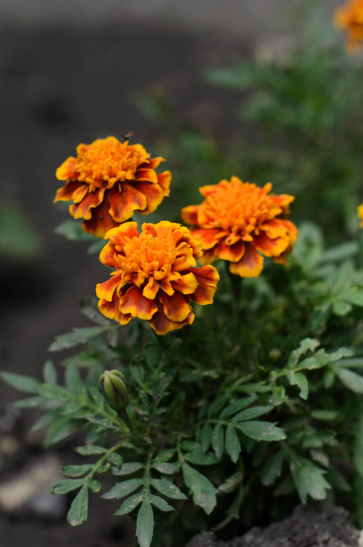 вот оно какое наше Лето:))