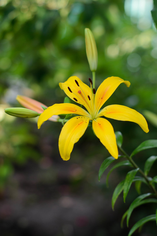 вот оно какое наше Лето:))