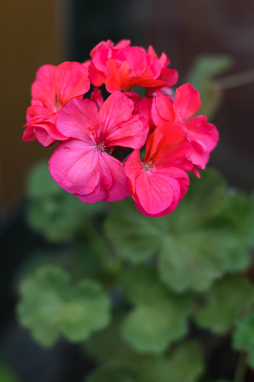 вот оно какое наше Лето:))