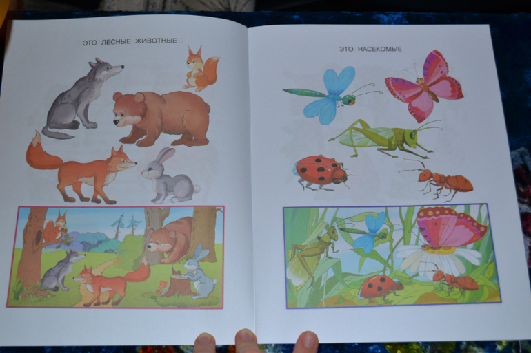 Развивающее пополнение))