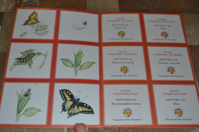 Развивающее пополнение))