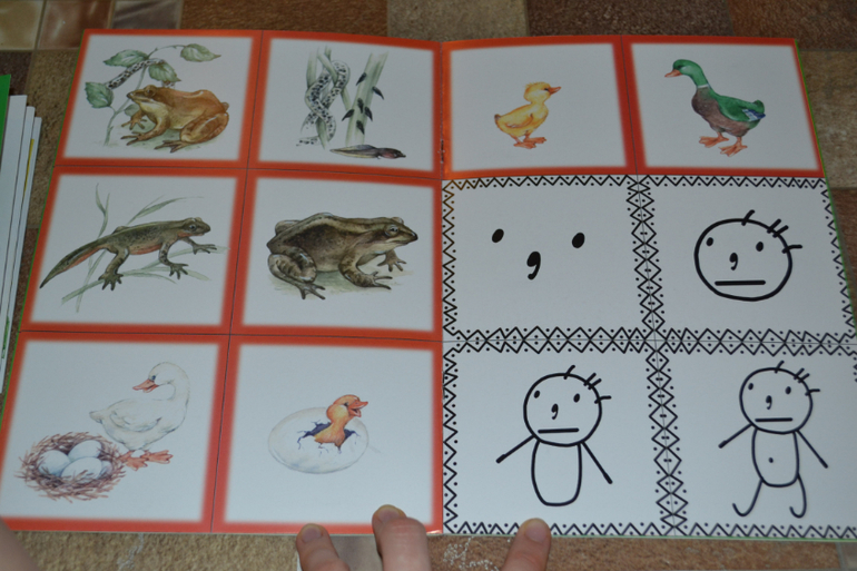 Развивающее пополнение))