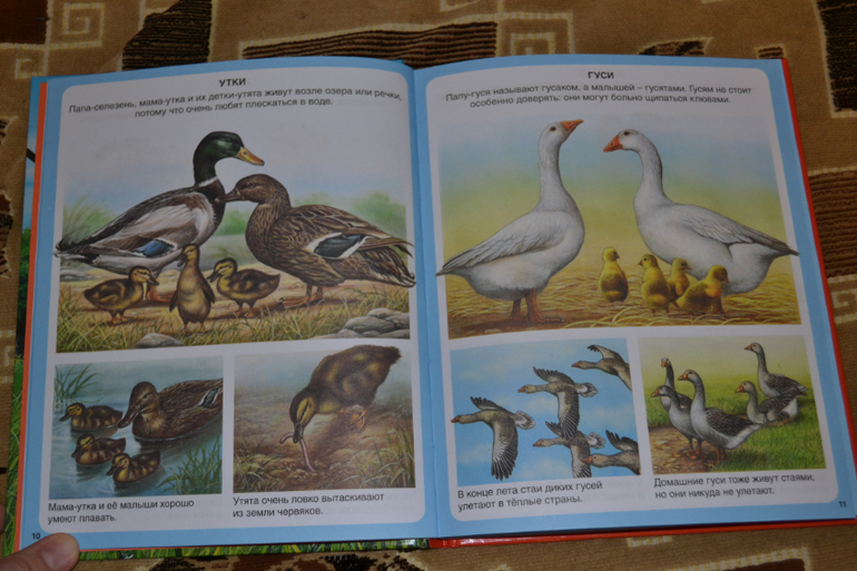 Наше книжное пополнение в 2 года