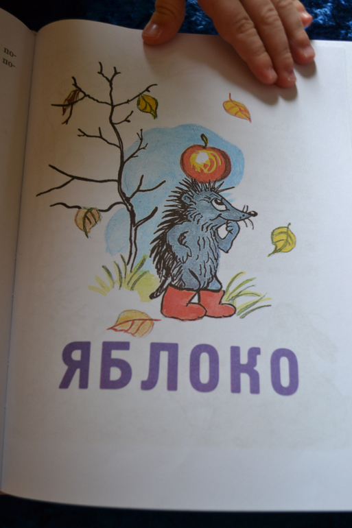 Дневник читателя июнь (сыну 2,0-2,1 г.)