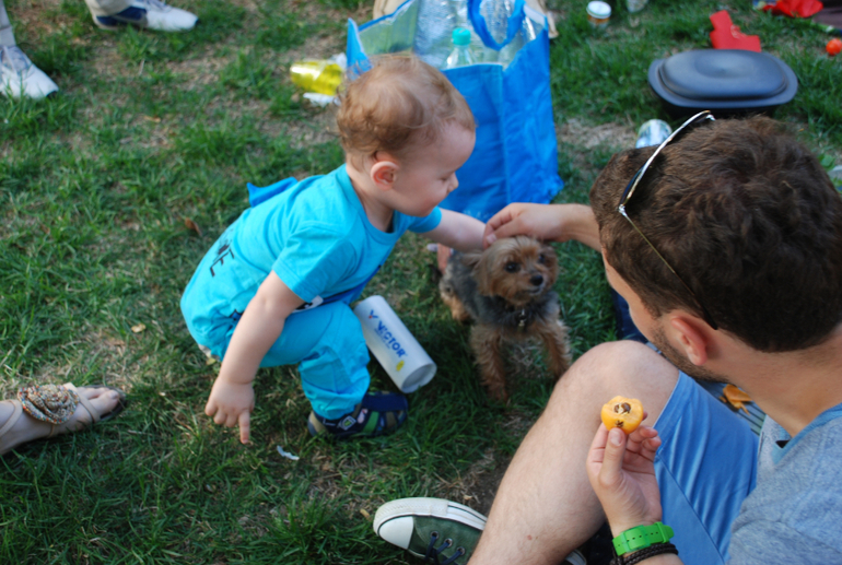 Фото с прогулок, часть 3