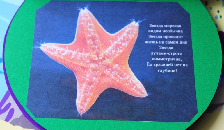 Книга о водных обитателях из картона