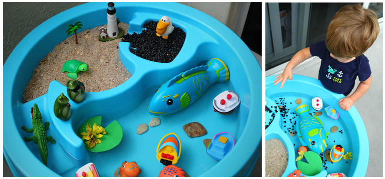 Наше знакомство с обитателями воды