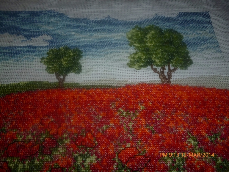 маковое поле)