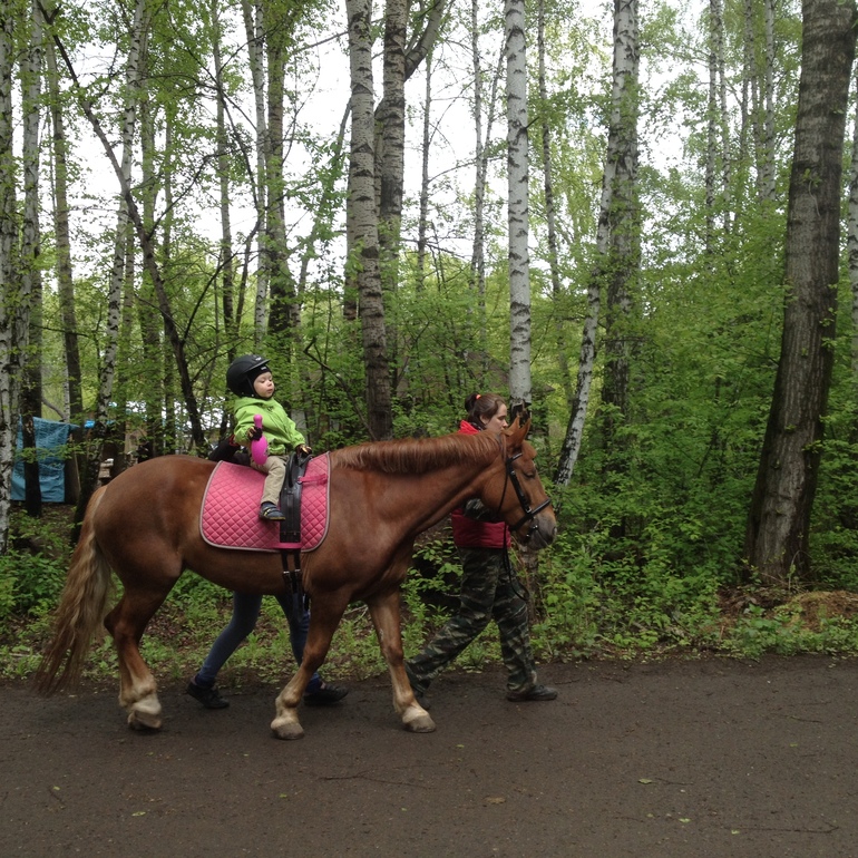Занятия иппотерапией!