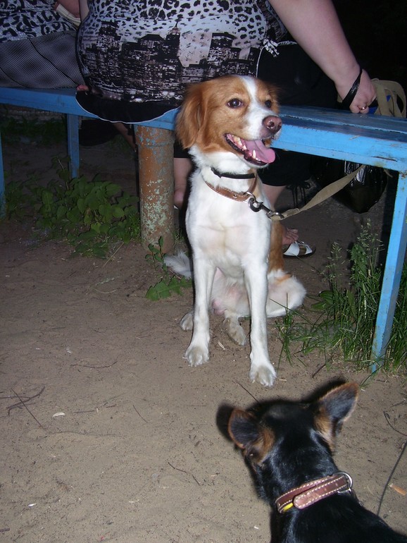 наши братья....