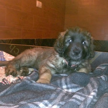 Трям, здравствуйте!!!;)