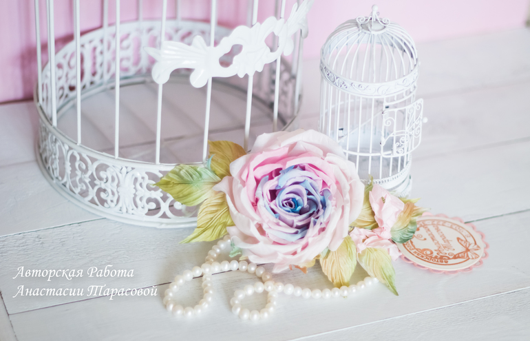 Роза "Аврора"