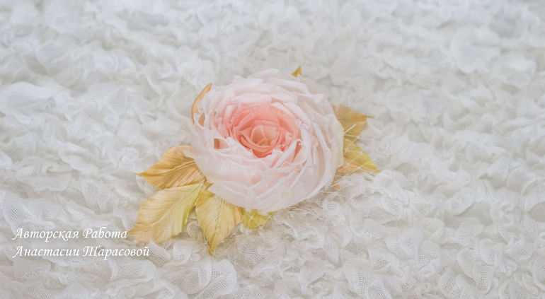 Новые цветочки