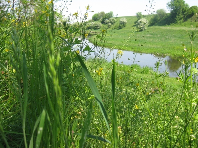 Житомирщина, Полесье