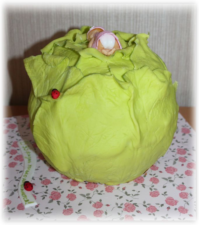 Младенец и капуста.