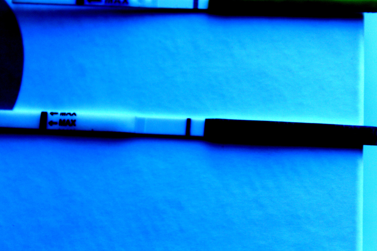 делать ли мне дальше тесты?