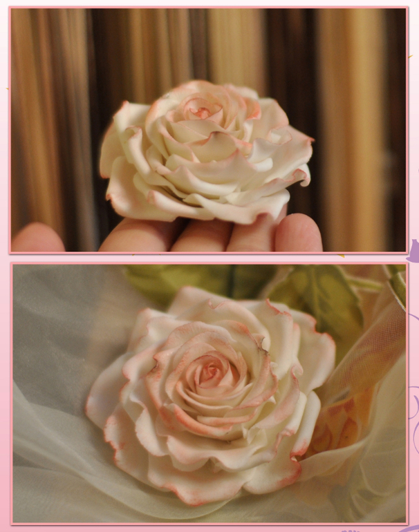 Моя первая роза без курсов и тортик с ней