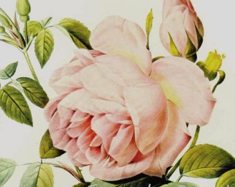 Творчество из ничего в честь Восьмимартия