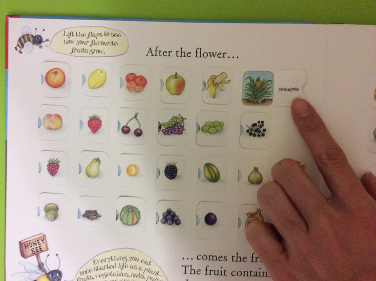 Часть 1. Наши новые книги с клапанами и окошками...