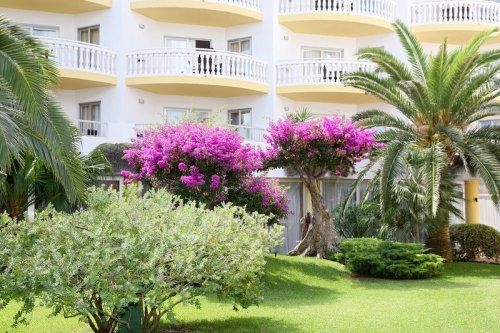 Испания, о. Майорка! Семейные отели и развлечения на острове!