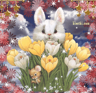 И наш подарочек приехал к 8 марта