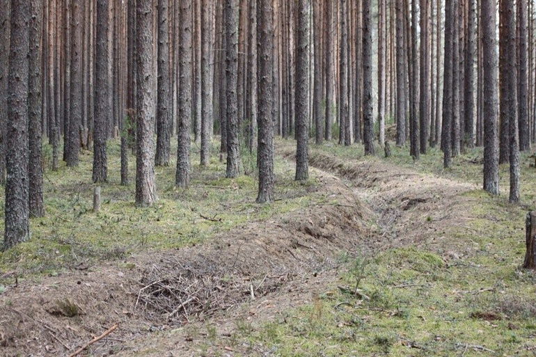 Мой любимый Селигер