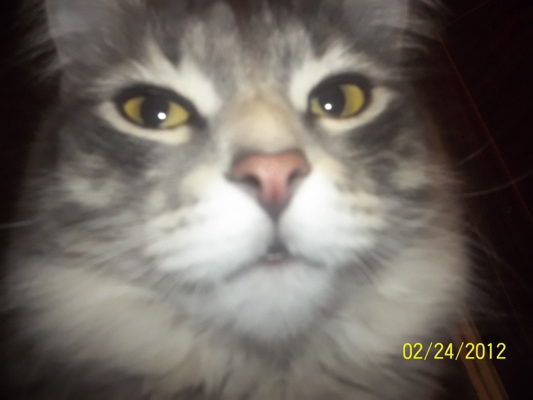 Взяли мы ИХ чтоб ЛЮБИТЬ.