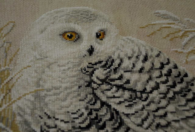 Букля от Риолис :))