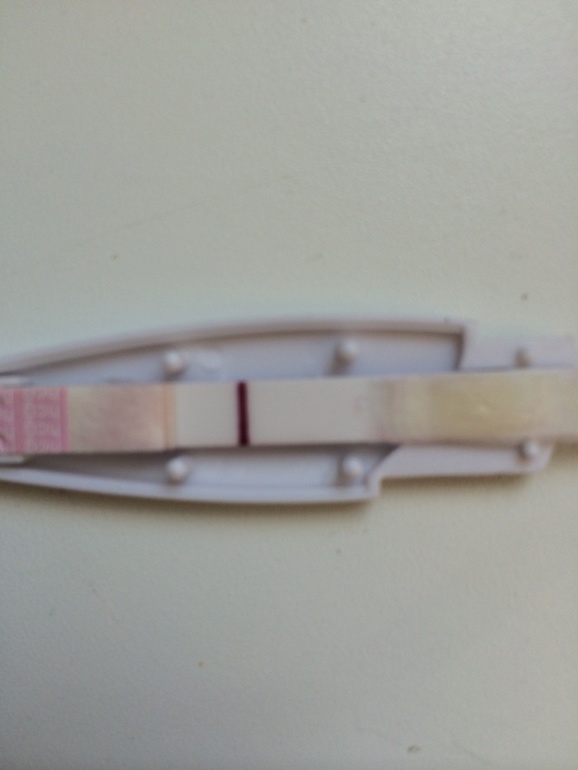 Эксперимент: день пятнадцатый!