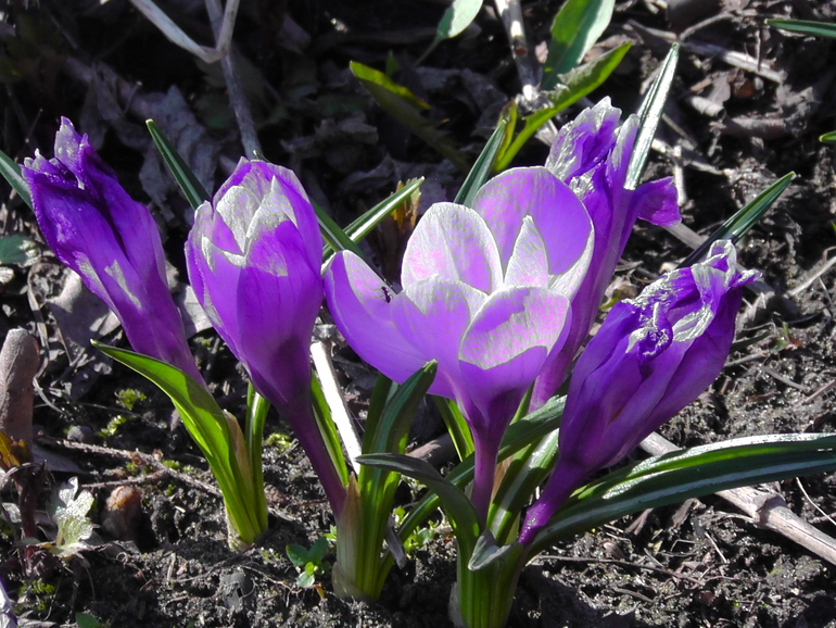 Ах, весна!!!!! Все просыпается...